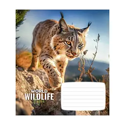 Зошит Школярик Wildlife 12 аркушів клітинка (012-3679K), в асортименті