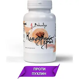 Камфорний гриб 400 мг при зниженому тонусі імунітету повільному відновленні печінки та детоксі 60 капсул - мініатюра 2