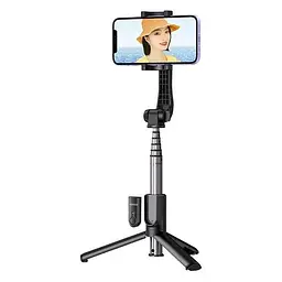 Селфі-монопод Ugreen Selfie Stick Black LP508
