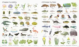 1000 назв природи - Ханна Вотсон - мініатюра 3
