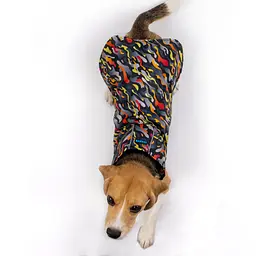 Дощовик для собак з капюшоном Barksi Textile розмір М Гравітація - мініатюра 4
