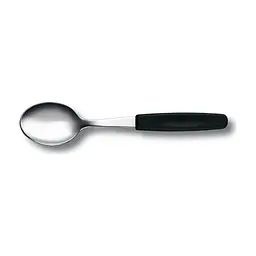 Чайная ложка Victorinox SwissClassic Tea Spoon Black (5.1573)
