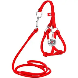 Шлея з повідцем для собак Waudog Glamour, шкіряна, кругла, з QR паспортом, 26-46х30-50х0,6/105 см, червоний (34013)
