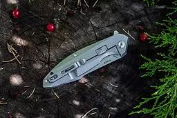 Ніж складаний Ruike P128-SF - мініатюра 9