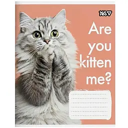 Зошит шкільний Yes Cats А5 36 аркушів клітинка 15 шт. (768629)