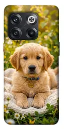 TPU чохол Demsky Small labradore для OnePlus 10T