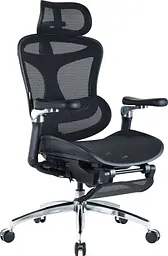 Офісне крісло Sihoo DORO C300 Pro Mesh Black with footrest (DORO-C300-PRO-M101-JT) - мініатюра 3