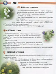 Енциклопедія для допитливих А5 : Рослини і тварини України (Українська ) - мініатюра 11