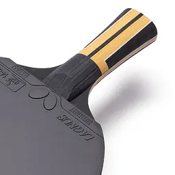 Ракетка для настільного тенісу Butterfly Timo Boll Force FL (6110300002) - мініатюра 4