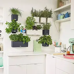 Комплект вазонів з кріпленням Lechuza Green Wall Home Kit Color 48х6х14 см білий (13398) - мініатюра 6