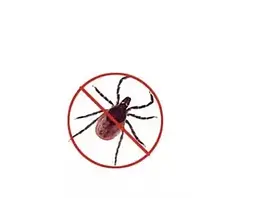 Інструмент для видалення кліщів TICK TWISTER - мініатюра 5