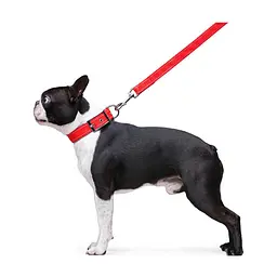 Повідець для собак Dog Extreme з нейлону подвійний Ш 20 мм Д 122 см червоний (42983) - мініатюра 5