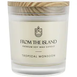 Ароматична свічка, Tropical monsoon (Тропічний Мусон), 250 мл From the Island vit0001538 - мініатюра 2