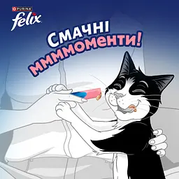 Набір вологий корм для дорослих котів Felix cмачні моменти додатковий з лососем 4 шт. х 10 г - мініатюра 8