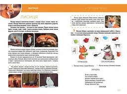 Велика книга про тварин - Борзова В.В. (9789669358370) - мініатюра 3