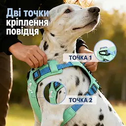 Шлея для собак Nunbell No-Pull з повідцем, регульована та світловідбивна, S Зелений - мініатюра 6