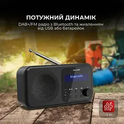 Радіоприймач Sharp DR-P420 Black - мініатюра 4