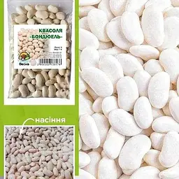 Квасоля "Бондюель" ТМ "Весна" 100г (24116)