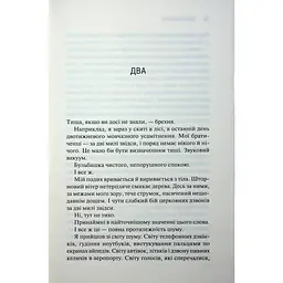 Святий. 3 - Сьєрра Сімоне КСД (9786171514454) - мініатюра 12