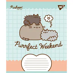 Набір зошитів Yes Pusheen Weekend А5, 18 аркушів 25 шт. (767611) - мініатюра 4