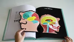 Anatomy. A Cutaway Look Inside the Human Body - мініатюра 3