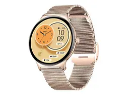 Наручний годинник жіночий Business Pro Gold Mesh Modfit acs0029754 - мініатюра 2