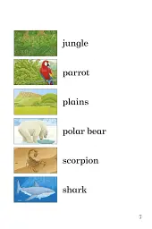 Ladybird Readers. Level 2. Wild Animals - мініатюра 3