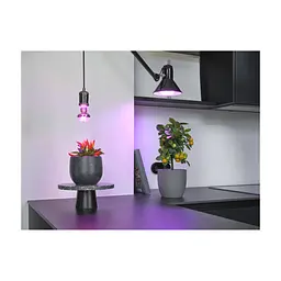 Лампочка Osram LED T80 GROW 20W CL 230V FR E27 (4058075845800) - мініатюра 10