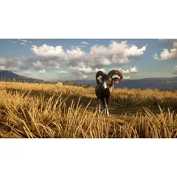 Ключ активації Microsoft TheHunter: Call of the Wild - Diamond Bundle для Xbox One/Series - мініатюра 4