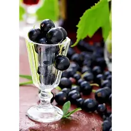 Саджанець Agro-Market Смородина чорна Аметист (середньо-пізній термін дозрівання) 1 шт. в упаковці (17527) - мініатюра 2