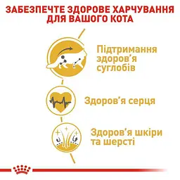 Сухий корм для дорослих котів мейн-кун Royal Canin Maine Coon Adult, з м'ясом птиці, 0,4 кг - мініатюра 5