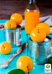 Саджанець Agro-Market Слива Жовта Афаска (літній сорт, середній термін дозрівання) 1 шт. в упаковці (39969) - мініатюра 3