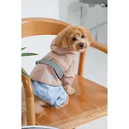 Дощовик Pet Fashion Tina для дівчаток розмір XS2 бежевий/блакитний - мініатюра 9