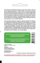 Базилік Лимонний 0,5 г, Садиба - мініатюра 2