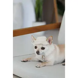 Панама Pet Fashion Gold для собак L - мініатюра 3