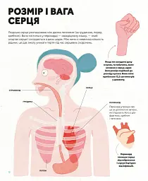 Серце. Історія, наука і багато любові - Ноемі Фабра - мініатюра 6