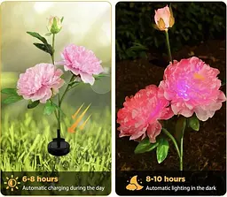 Світильники Garden Peony pink Light на сонячній батареї садові 2 шт - мініатюра 4