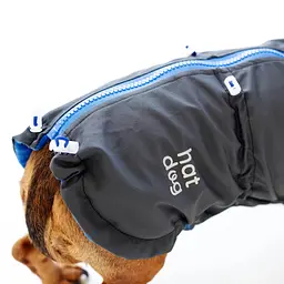 Вітровка для такс Hat-Dog Графіт (XS/Дівчинка) - мініатюра 2