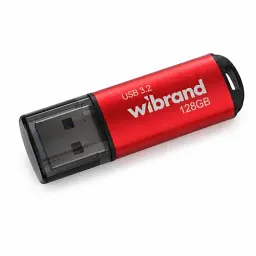 Флеш накопичувач USB 128Gb Wibrand Ladybug, Red, USB 3.2 Gen 1 (WI3.2/LB128P10S)