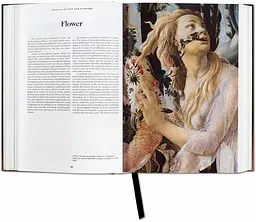 The Book of Symbols. Reflections on Archetypal Images - мініатюра 5