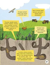 Енциклопедія юних розумників - мініатюра 14