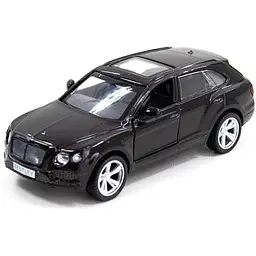 Автомодель TechnoDrive Bentley Bentayga 250265 Чорний (6900007318709)