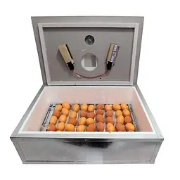 Інкубатор цифровий "Наседка ІБМ-70" на 70 яєць з механічним перевертанням (посилений оцинкований корпус) n70cink - мініатюра 3