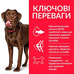 Сухий корм Hill’s SP Adult Healthy Mobility Large Breed для собак великих порід з куркою 14 кг - мініатюра 2