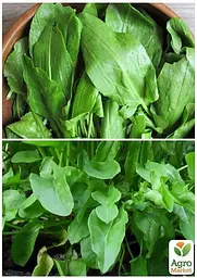 Насіння Agro-Market Щавель Товстолистий на вагу ціна за 6 г (22087) - мініатюра 4