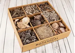 Набор декораційний Botanical Garden з натуральних сушених рослин