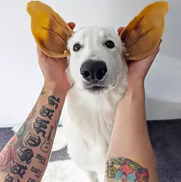 Натуральні ласощі для зубів собак WHIMZEES Dental Treats Veggie Ear, 1 шт. L - мініатюра 2