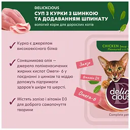 Вологий корм для кішок Delickcious Суп з курки з шинкою та додаванням шпинату 80 г (4820269141599) - мініатюра 3