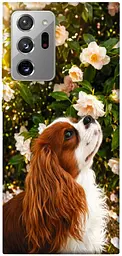 TPU чохол Demsky Flower spaniel для Samsung Galaxy Note 20 Ultra