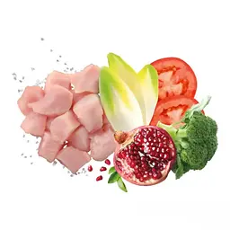 Монопротеїновий корм Exclusion Mature Chicken Medium & Large Breed для собак літнього віку середніх та великих порід з куркою 3 кг - мініатюра 2